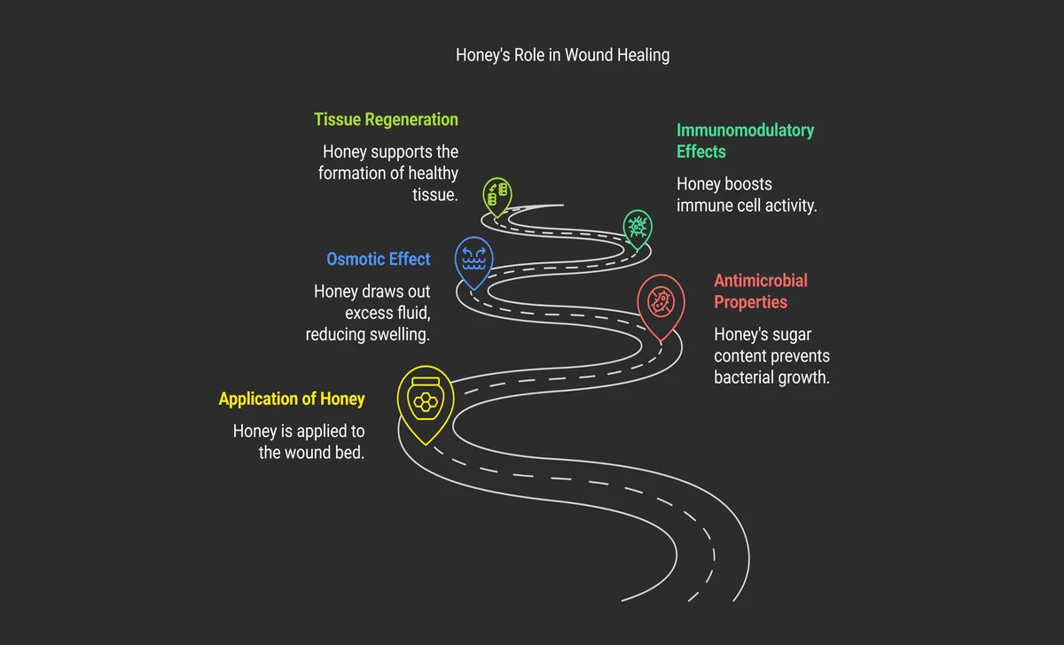 Mechanisms Of Honey In Wound Healing